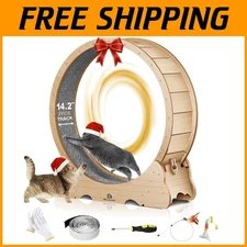 XL Cat Wheel for Indoor Exercise