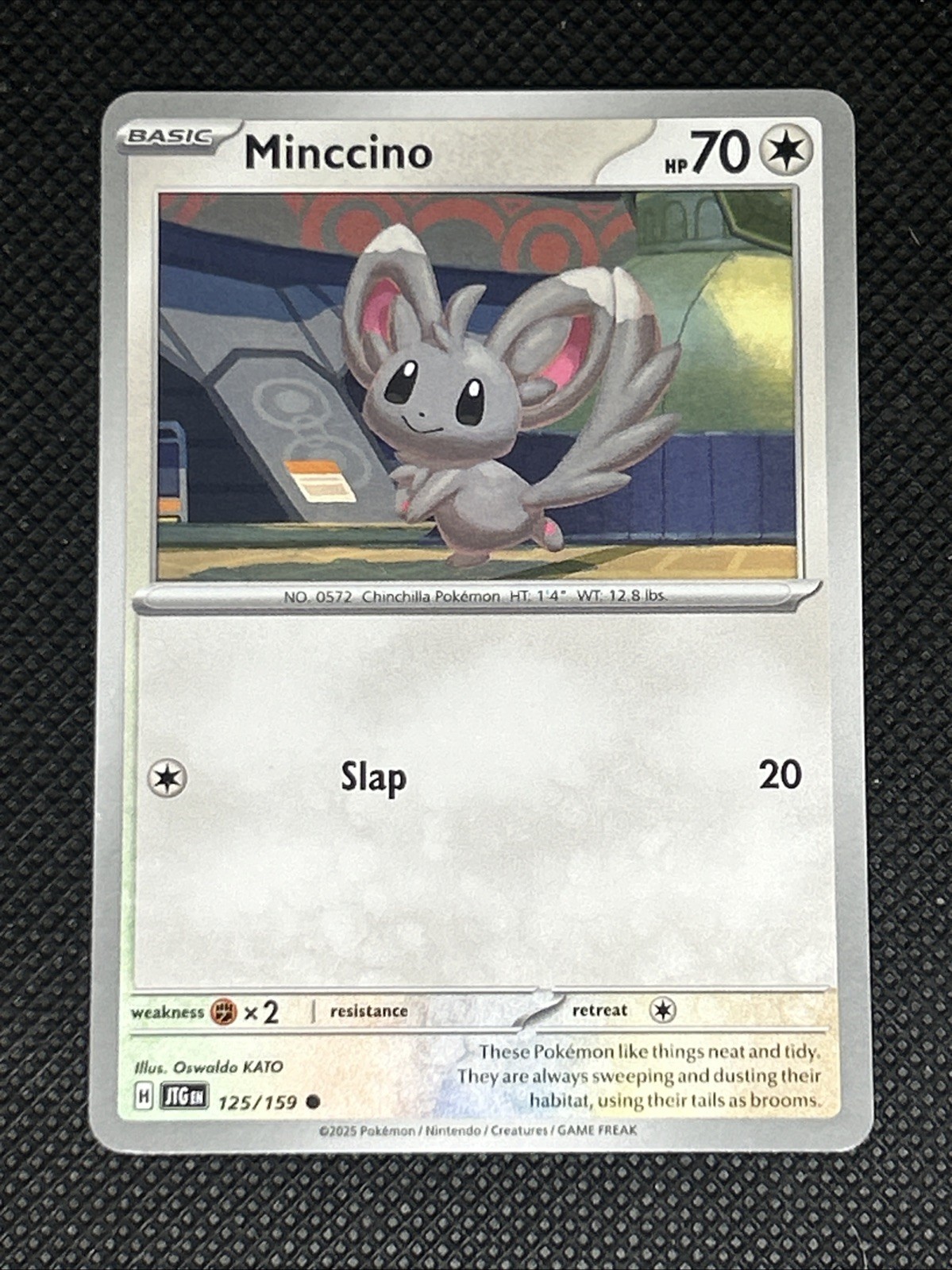 Minccino 125/159 Pokemon Sv09: Journey Together Non Holo