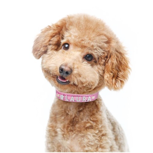 Leather Personalised Girl Dog Collar Diamante Name Charms Kitten Cat Puppy XS-L - Picture 11 of 21