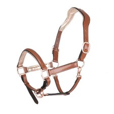 BergReiter anatomisches Lederhalfter Professional Gold - Showhalfter