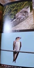 The Audubon Society Field Guide To North American Birds Eastern Region Good