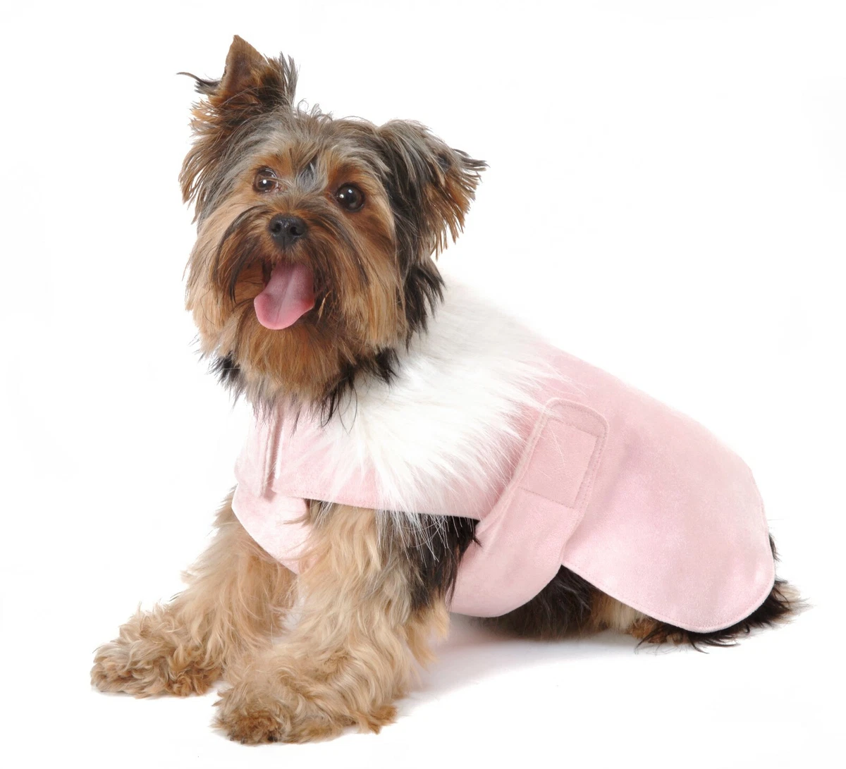 Chelsea top dog coat