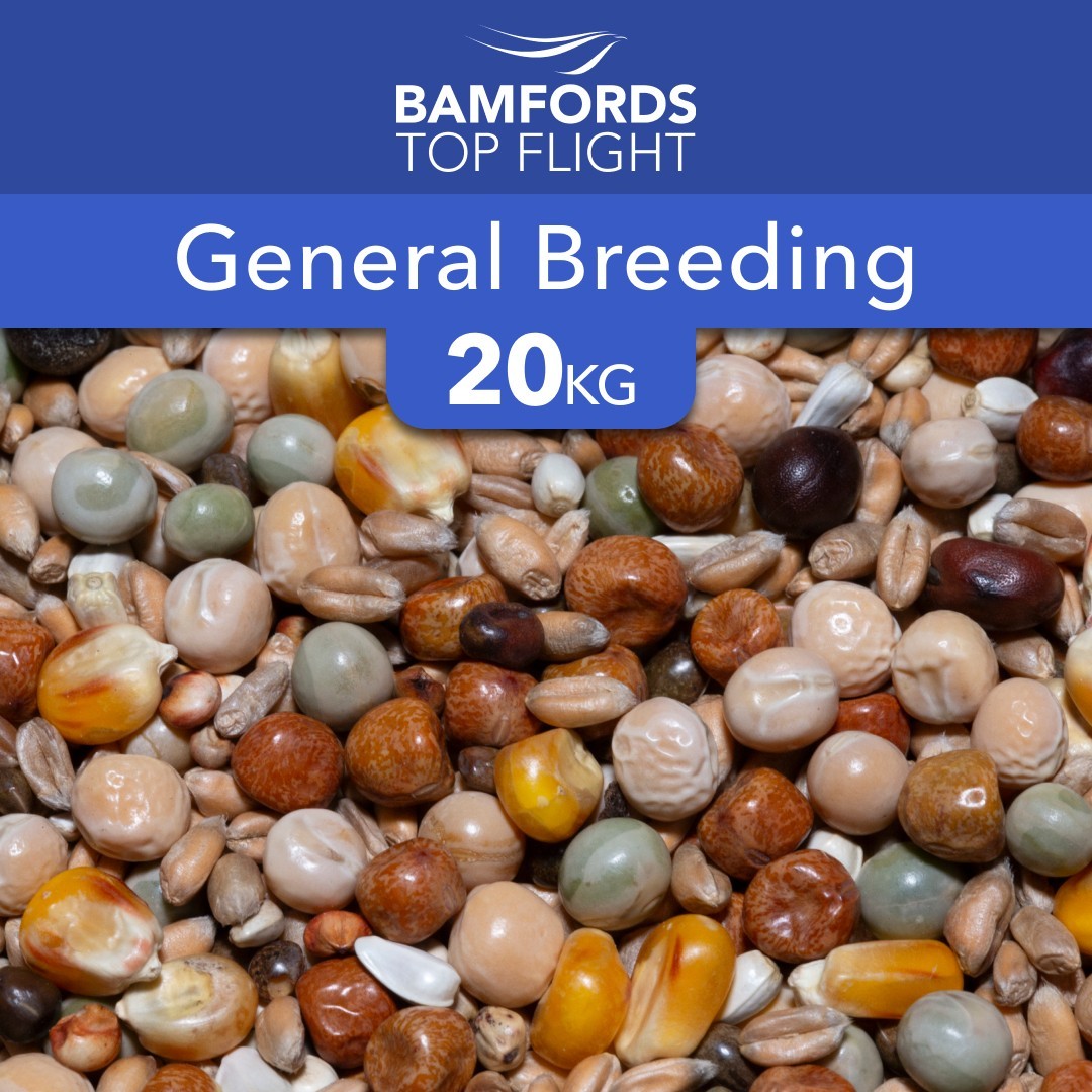 Bamfords General Breeding Pigeon Food 20kg Premium High Protein Diet For Racing