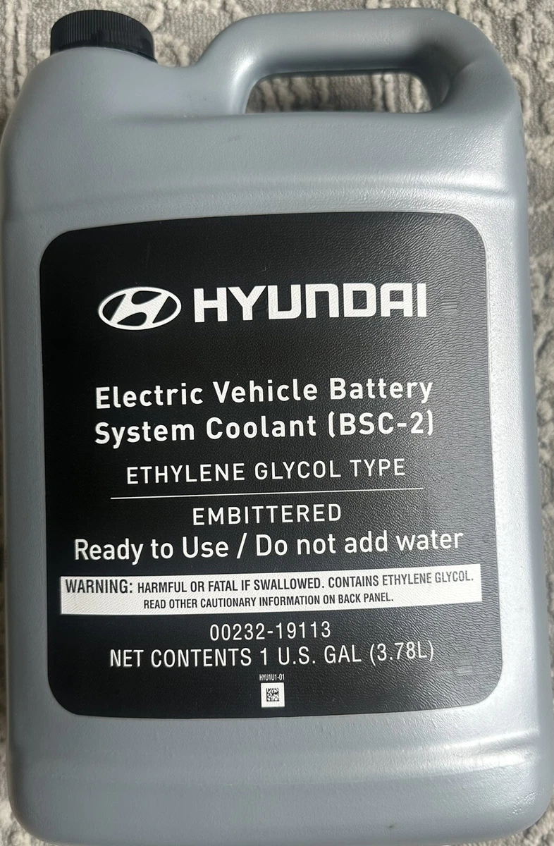 00232-19113 - ELECTRIC VEHICLE BATTERY SYSTE - Hyundai (BSC-2) | eBay