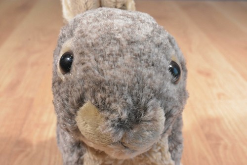 Wild Republic Wild Brown Rabbit 2015 Beanbag Plush(310-174) - Picture 6 of 6