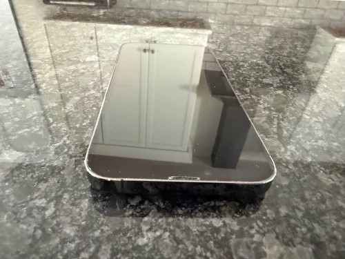 Apple iPhone 13 Pro Max - 256 GB - Graphite (Unlocked) Excellent Condition - Photo 8 sur 14