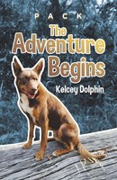 The Adventure Begins Kelcey Dolphin Taschenbuch Kartoniert / Broschiert Englisch
