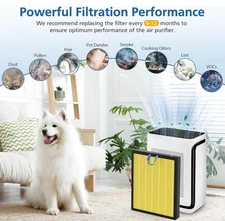 Isinlive Vital 200S Pet Allergy HEPA Filter for Levoit Vital-RF LRF-V201-YUS 2pk