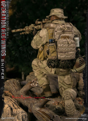 レッドウィングス チーム1 SDV ネイビーシールズ DAMTOYS スナイパー SDVチーム1 ネイビーシールズ 米海軍特殊部隊 1/6 DAMTOYS | Amazon ミリタリー