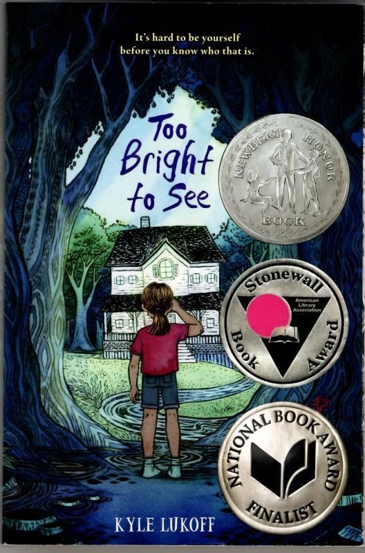 Too Bright to See : Kyle Lukoff