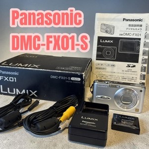 Panasonic Lumix Fx01 | eBay