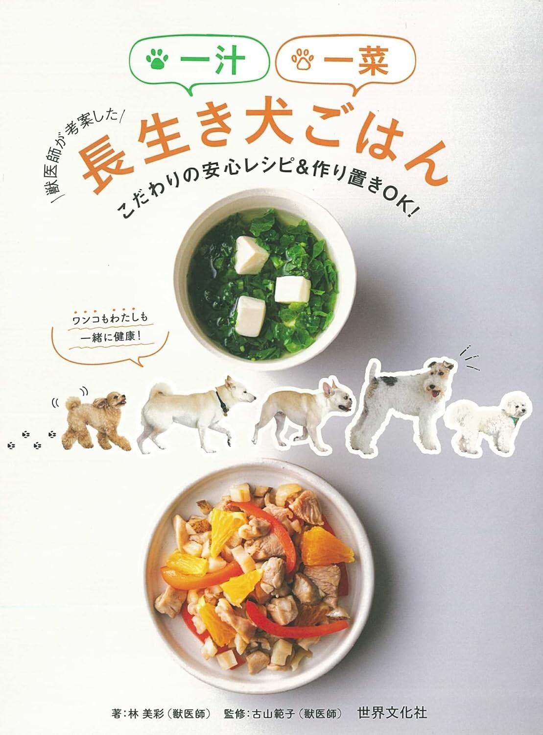 　japan Book New F/s