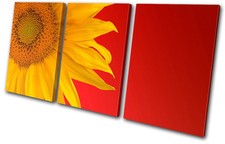 Floral Sunflower TREBLE CANVAS WALL ART Picture Print VA