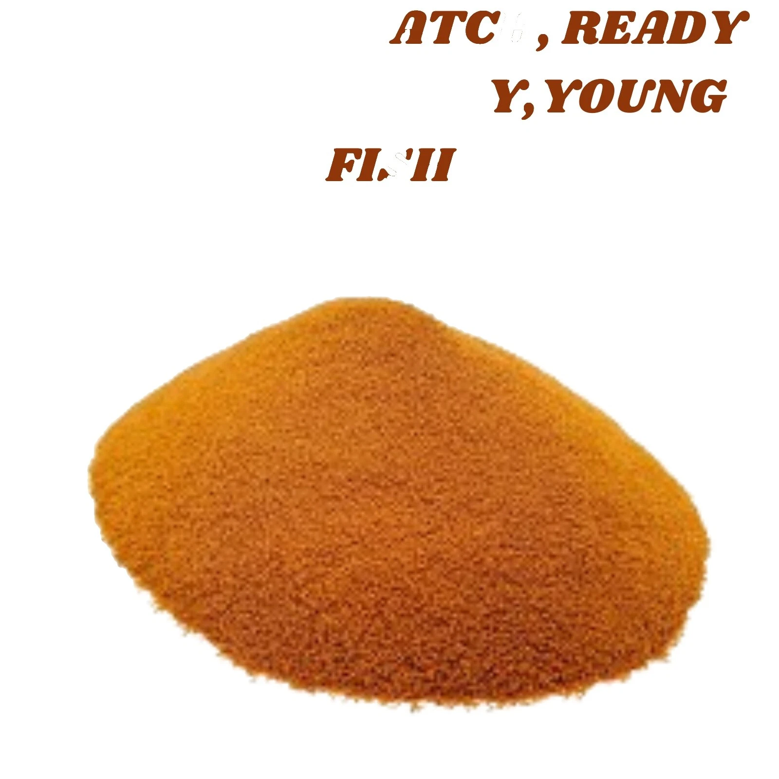 虾珊瑚鸡蛋鱼食