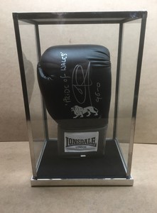 boxing glove glass case