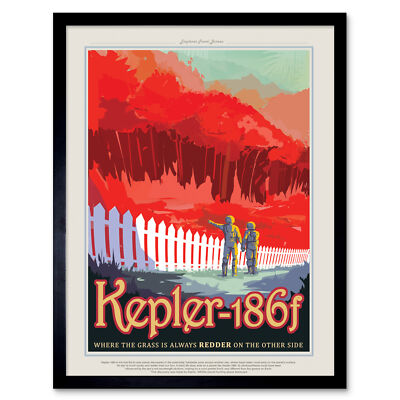 Kepler-186f Grass Redder NASA Space Tours Travel Wall Art Print Framed 12x16