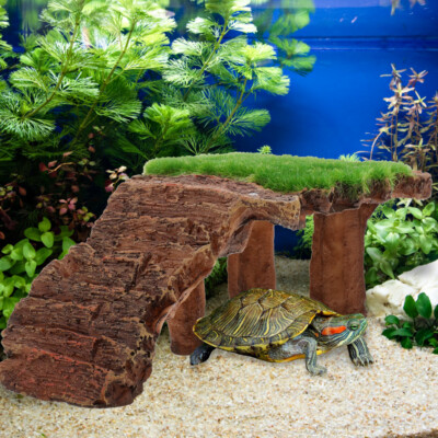 Ruime Schildpad Tank Aquarium Met Basking Platform En Pomp - Perfect Reptielen Habitat, Plastic, Veilig En Niet-Giftig