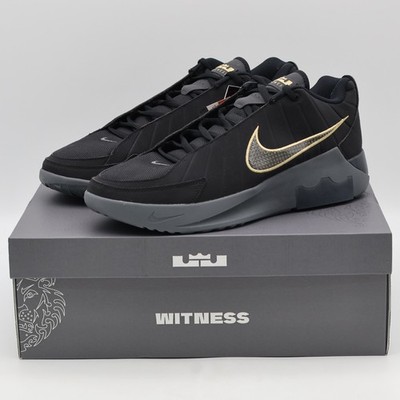 HQ8035-003 Nike LeBron Witness IX EP Black Iron Grey (Herren)