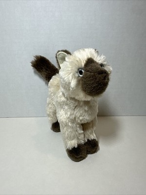 Douglas Cuddle Toys 6   Himalayan Cat #4027 Stuffed Animal Toy 2022