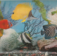 Vintage 3D Lenticular Postcard Exotic Fish Aquarium  Underwater Animal Angelfish