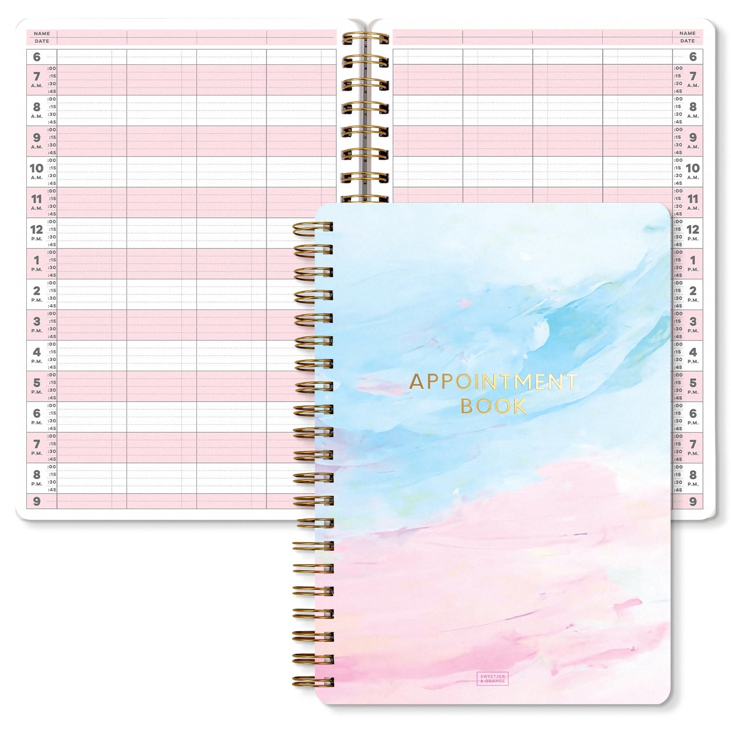 Appointment Book with 15 Minute Slots, Daily Hourly Daybook  Planner with Hourly
