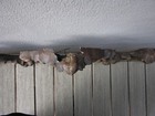Bild 7 von 8