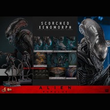 Hot Toys MMS784 Alien Romulus scorched xenomorph 1/6 Scale Limited Action Figure