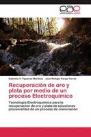 Gabriela V. Figueroa Martinez (U. A.) | RecuperacióN De Oro Y Plata Por Medio...