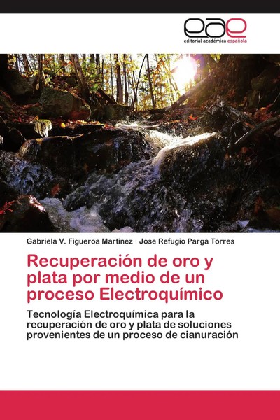 Gabriela V. Figueroa Martinez (U. A.) | RecuperacióN De Oro Y Plata Por Medio...-image