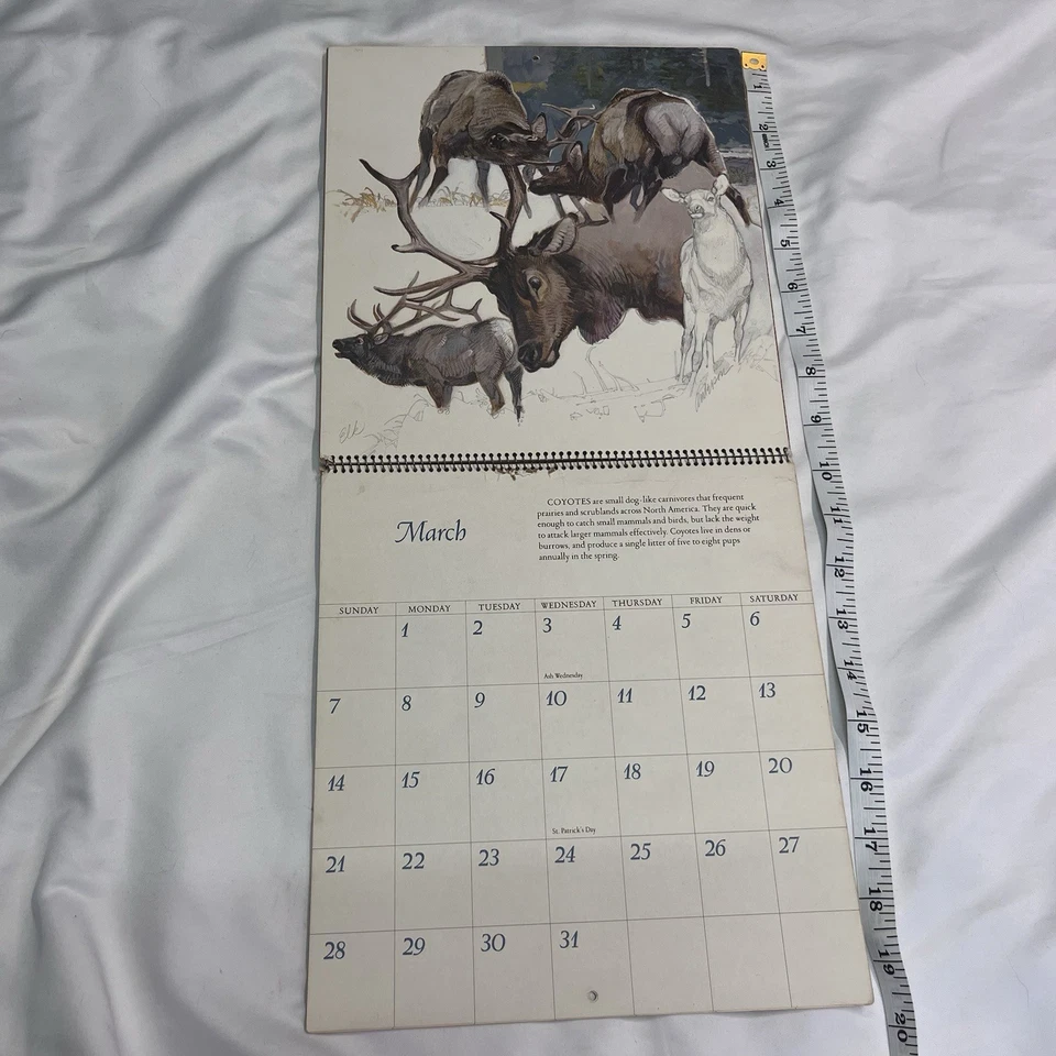 Calendario de Vida Silvestre Vintage Hallmark Años 70 Animales Arte Alce Zorro Codornices Pájaros Foto 4 de 4