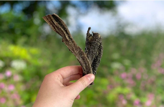 Goat Dried Tripe Sticks Premium Quality 100% Natural Air Dried Dog Treat Chew - Image 3 of 4