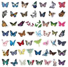 5 Pc Vinyl butterfly Sticker Pack For Laptop Water Bottle skateboard notebook