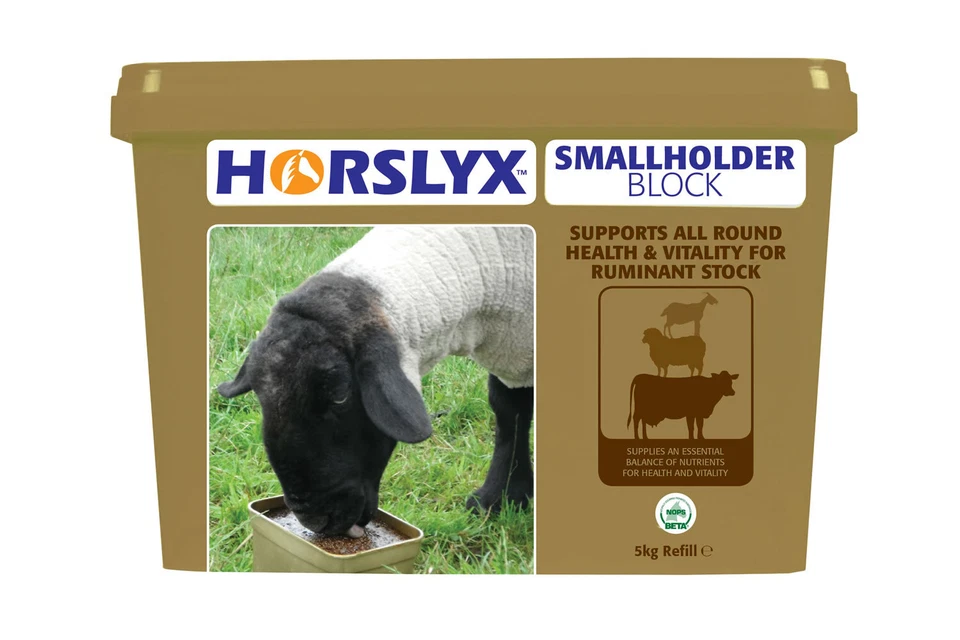Horslyx Treat Lick For Ruminants And Pigs Palatable Feed Improve Foraging
