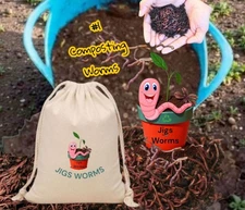 (Jigs)  Red Wiggler Starter Colony  (1 Lb)- Worms, Bedding, Food, Minerals, Bio.