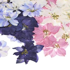 48-Pack Dried Pressed Flowers for Resin, Real Natural Bulk Dry Floral for Cra...