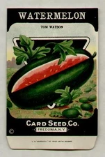 1920's LITHO CARD CO. WATERMELON TOM WATSON SEED PACKET