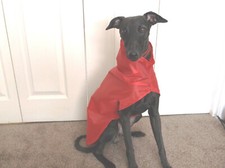 NEW ~ Whippet Showerproof/ rain coat ~ Pac-a-mac ~ Blue, Red, Camouflage fabric 
