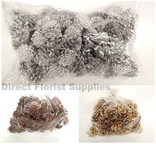 1 kg bag Pine Fir cones Austriaca Natural Gold or Silver Christmas Xmas Wreath