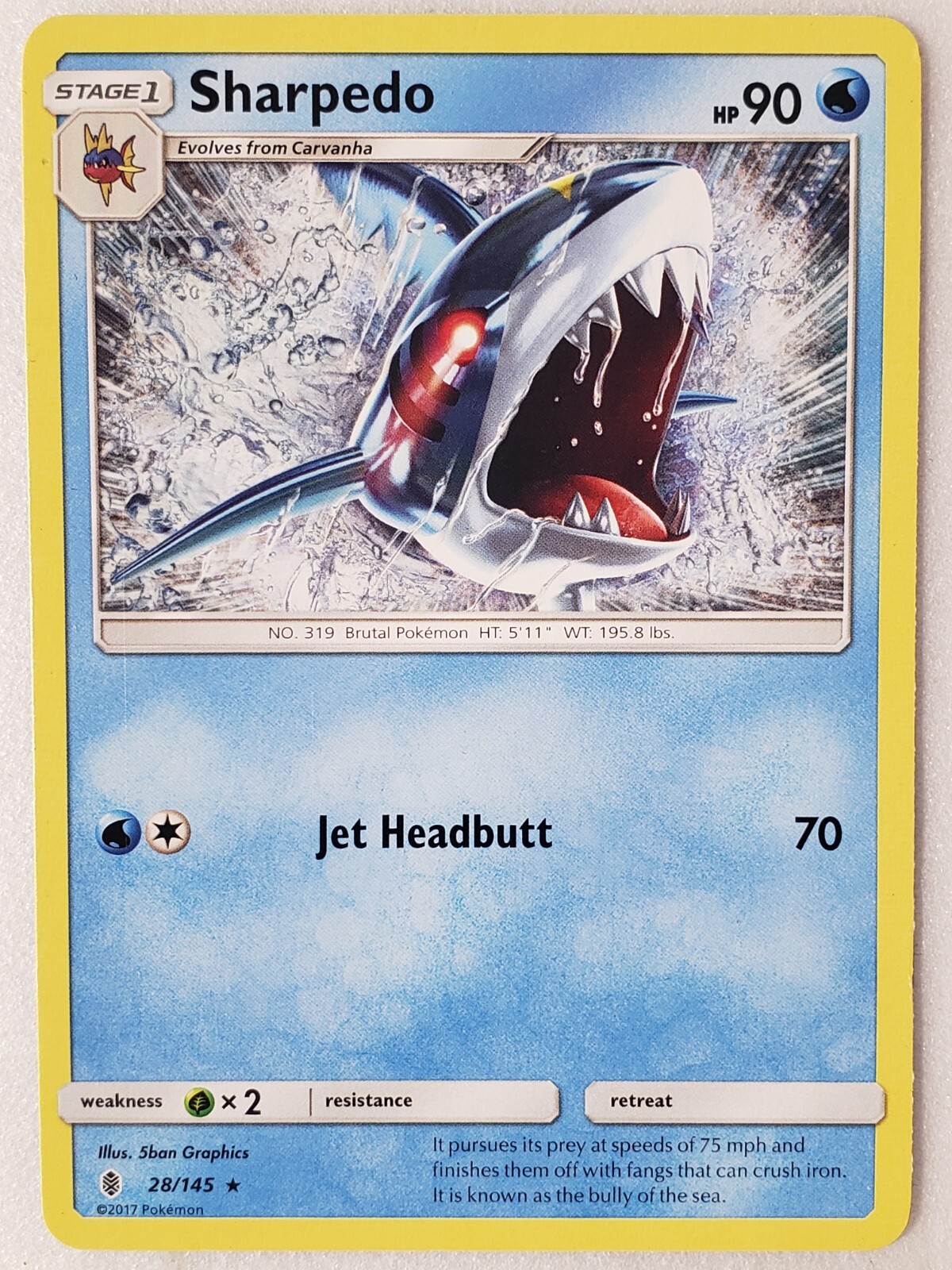Sharpedo
