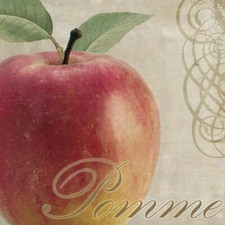 Ceramic Backsplash Tile Mural Fruit Kitchen/Bathroom - Fruits Classique V