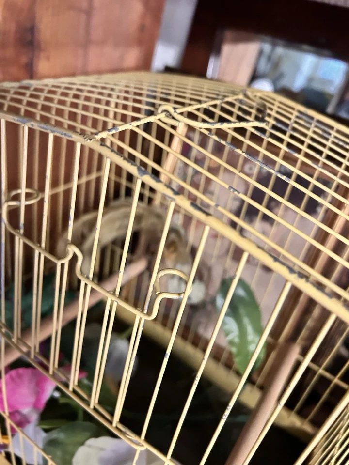 Vintage Antique Hanging or Tabletop Bird Cage CROWN Perch & Swing - Image 3 of 4