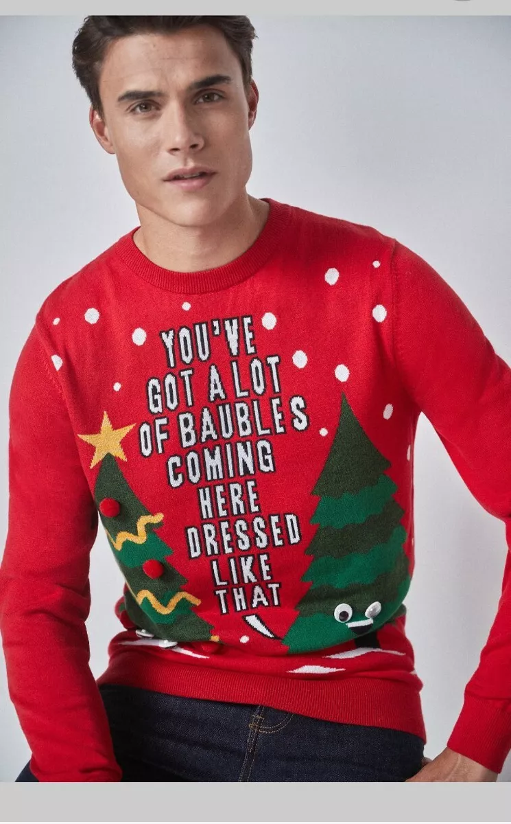 Next clearance santa jumper