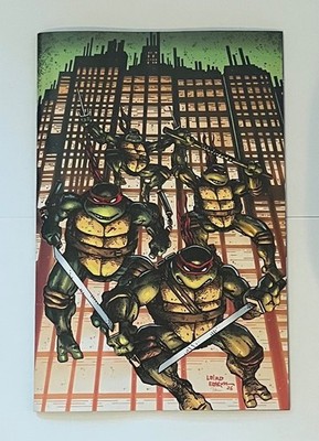 Teenage Mutant Ninja Turtles #20: Cover M Blind Bag Full-Art with Red Bandanas