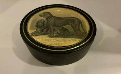 Deutscher & englischer Schweifhund, Grafiche Tassotti N. 323 Trinket Box, Italy
