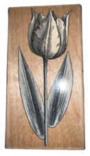Hero arts Long Stem Pencil Drawing Flower Bloom Garden Wooden Rubber Stamp