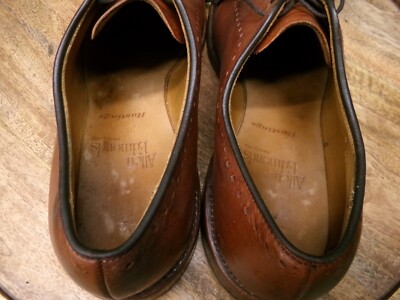 Allen Edmonds Hastings Chili Brown 1255 Whole Cut Leather 