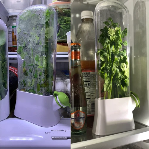 Keeper and Herb Saver, PlasticStorage Container for Cilantro, Mint, Parsley,New - Bild 7 von 13