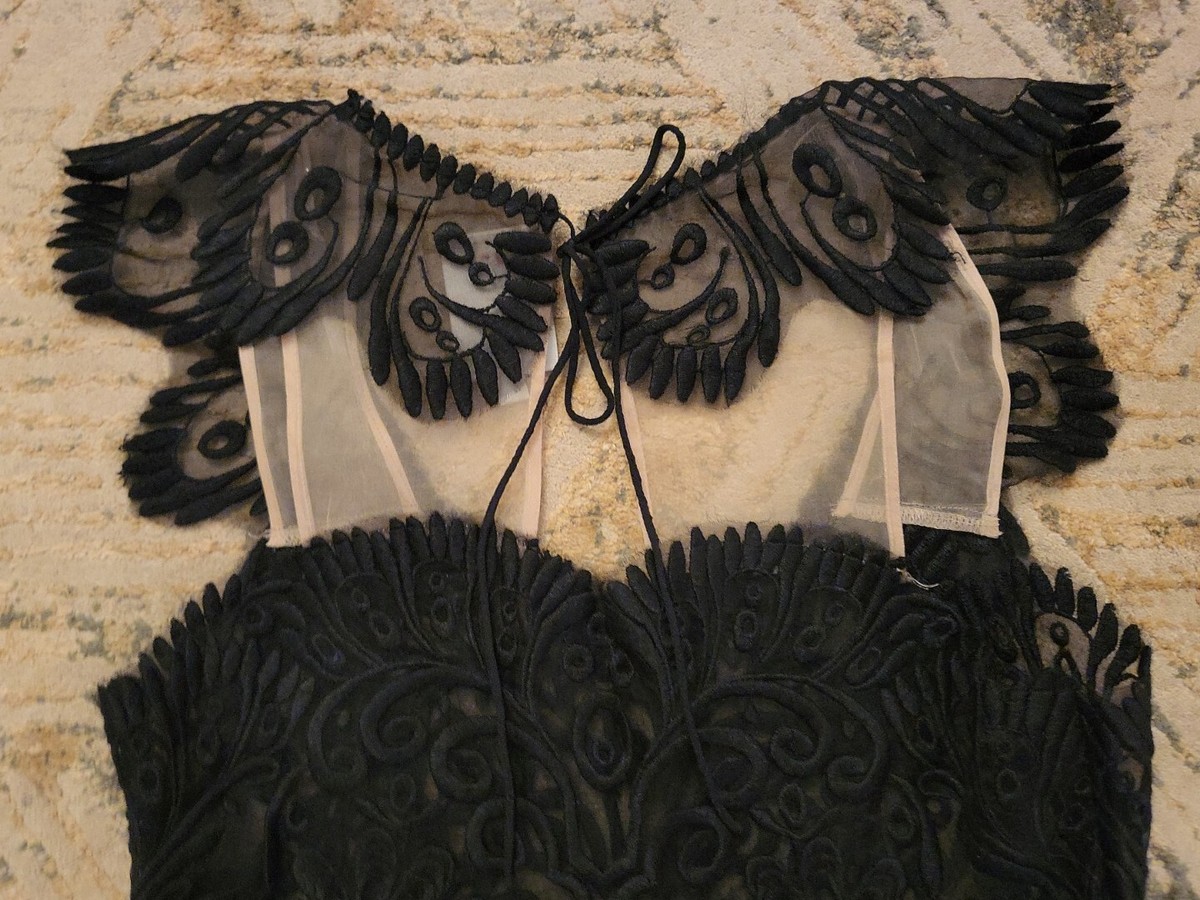Yoana Baraschi Black Lace Overlay Sheer Open Back Fit & Flare Dress No Slip Sz 4 | eBay Yoana Baraschi Black Lace Overlay Sheer Open Back Fit & Flare Dress No Slip Sz 4 | eBay