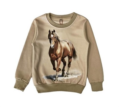 S&C Mädchen Sweatshirt mit Pferde Motiv beige F107
