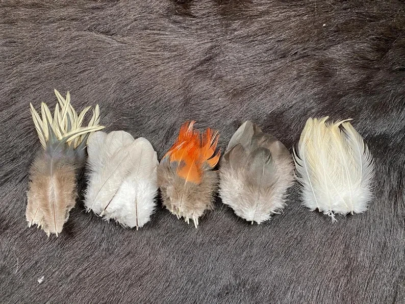 50er Federmix, 5-10cm, 5 Sorten, Bastelfedern aus guter Haltung, Naturfedern, kl - Bild 3 von 4